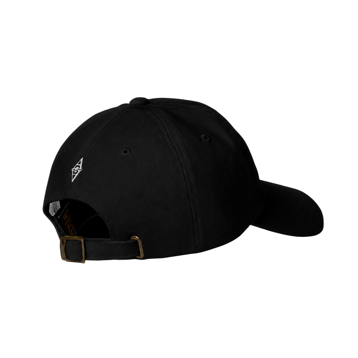 The Albatross Dad Hat
