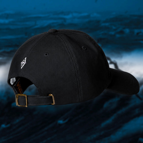 Albatross Dad Hat