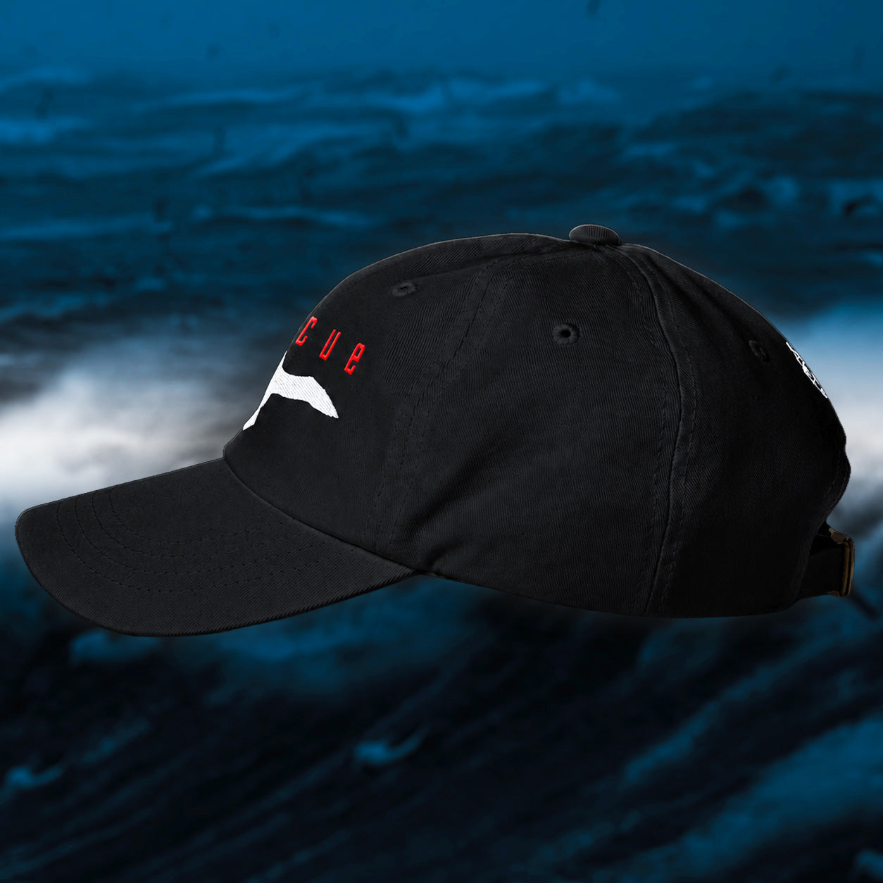 Albatross Dad Hat